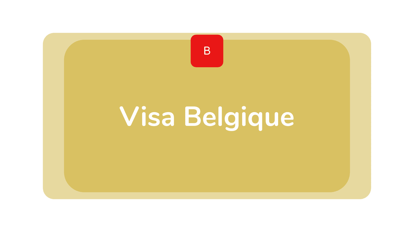 comment avoir un visa pour travailler en belgique